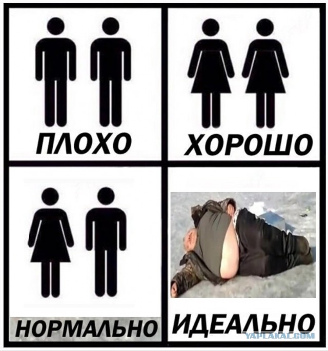 Госдума приняла закон о запрете пропаганды ЛГБТ, педофилии и смены пола в рекламе, книгах, кино и СМИ