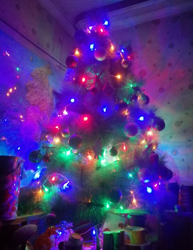Выкладывайте свои елки!