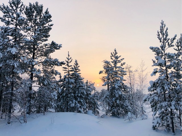Одно зимнее фото
