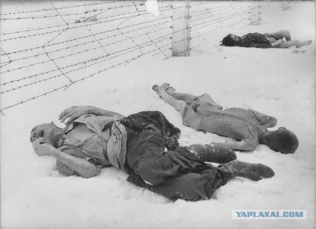 Фотографии советского освобождения Освенцима являются поддельными