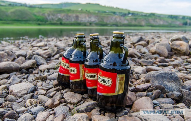 Авиационные фотокарточки