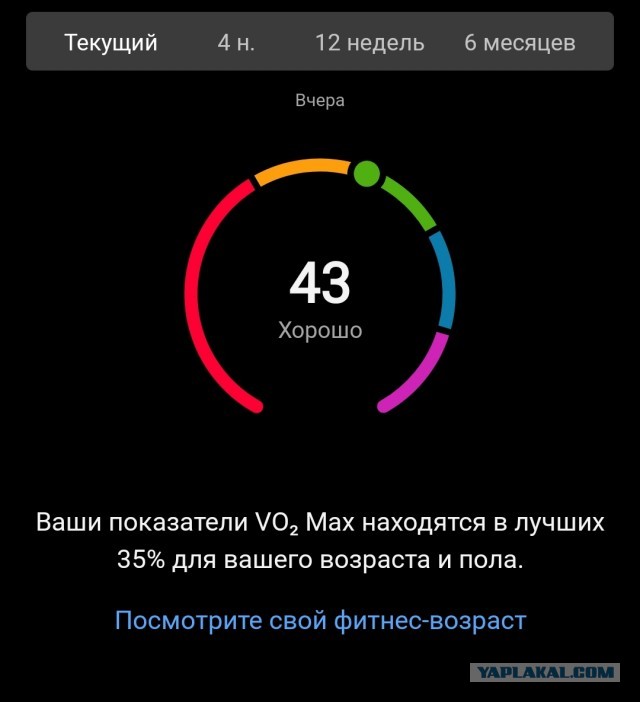 Победная поступь идиотизма по планете – том 13
