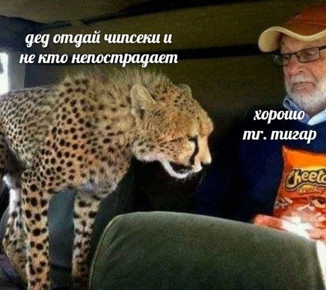 Всего понемногу 24.05