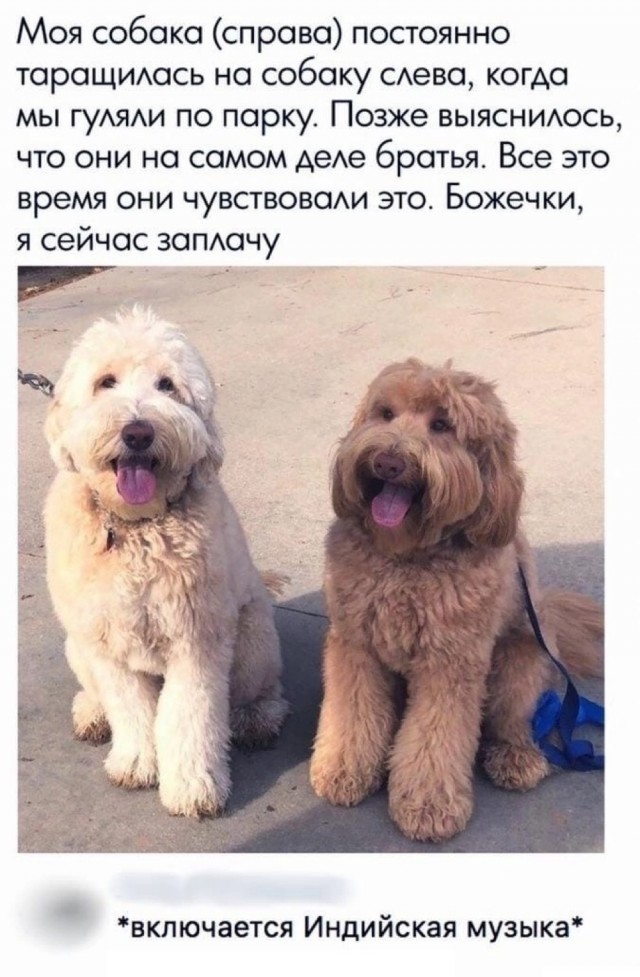 Картинки и мемы, всяко разно - 183