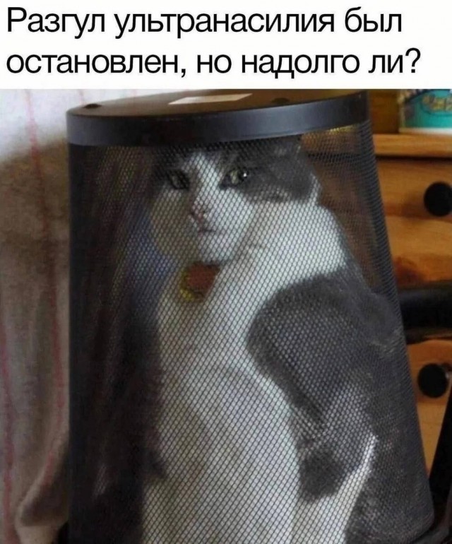 Так себе картинки 13.07.23