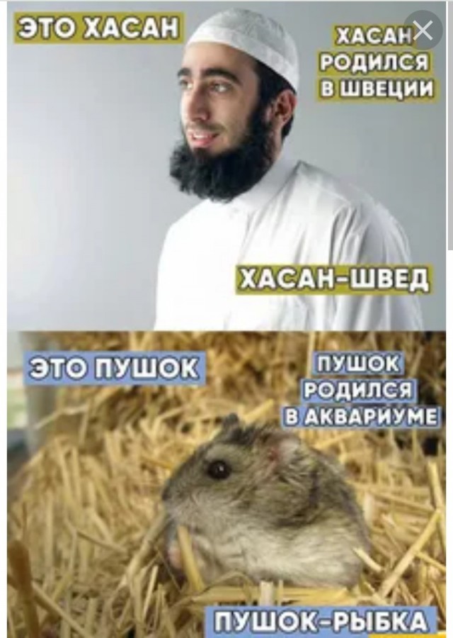 Мигранты избивают людей ради хайпа