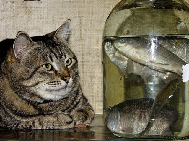 А как вы провели выходные?