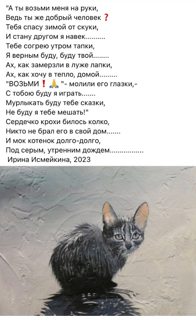 Знакомьтесь, Мишка!