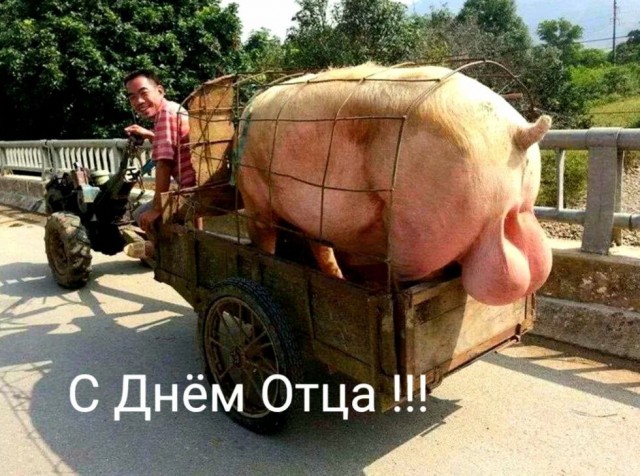 Сегодня в России отмечается День отца