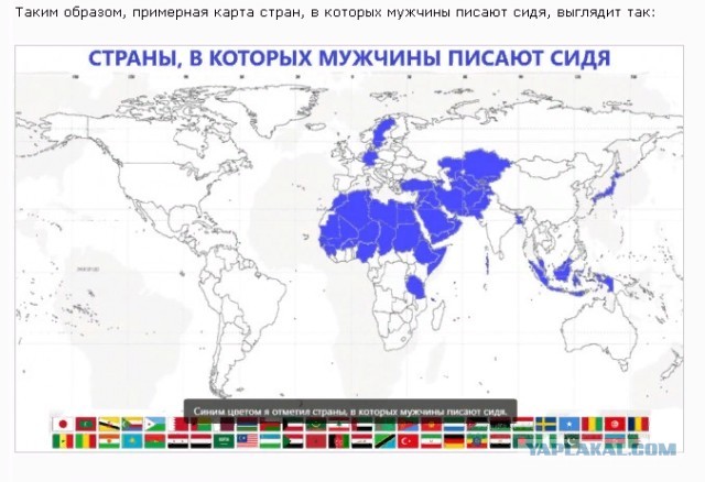 В каких странах мужчины писают сидя?