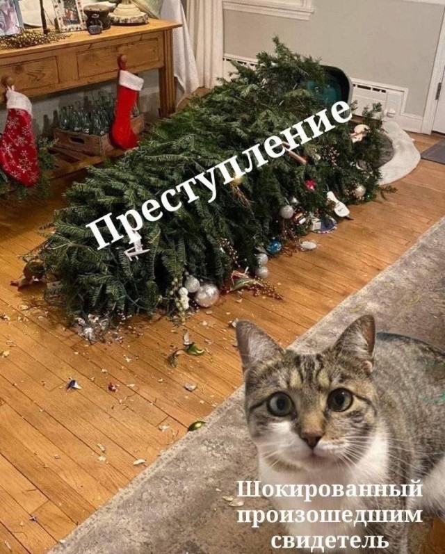 Весёлый полтишок 05.01.24