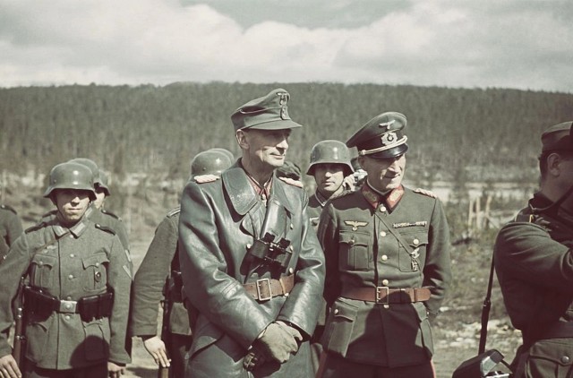 Цвет войны. Фотоподборка