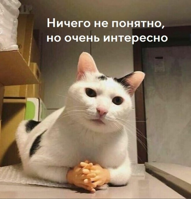 Битва была равна