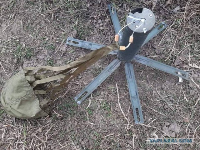Ума нет - считай калека.