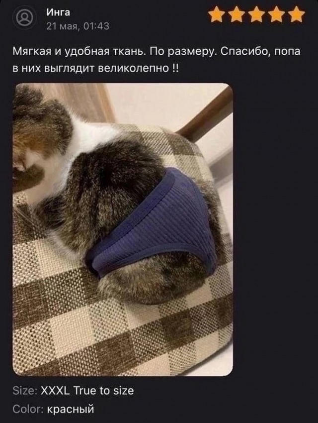 Алфавит знаешь?