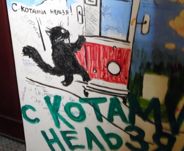Плацкарт, девушки, коты