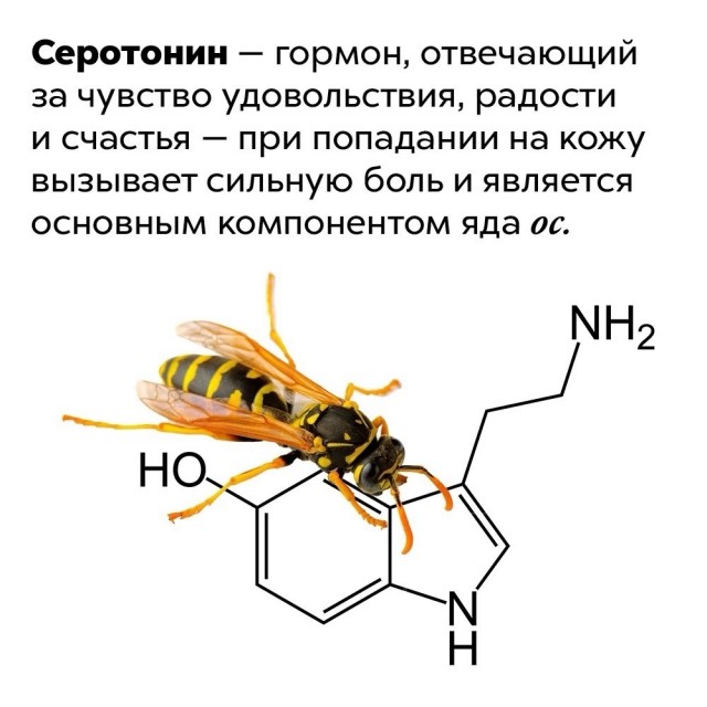 Картинки разные с надписями и без