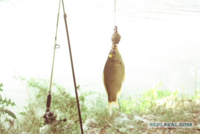 В дали от городской суеты