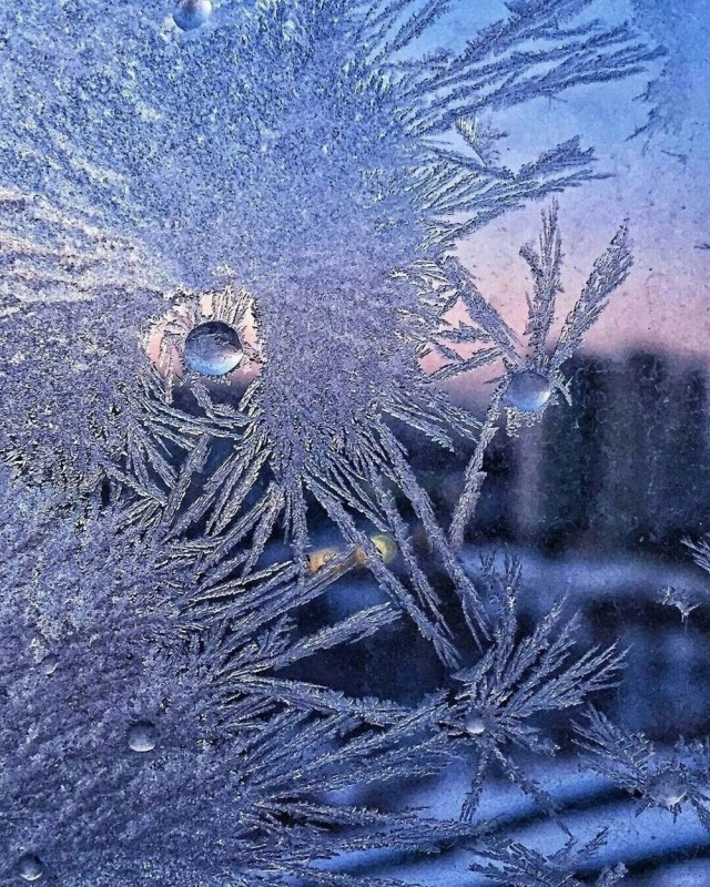 Прикольные и просто красивые картинки 20.12.2024