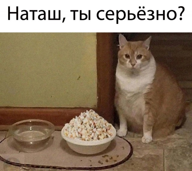 Так себе картинки 10.01.25