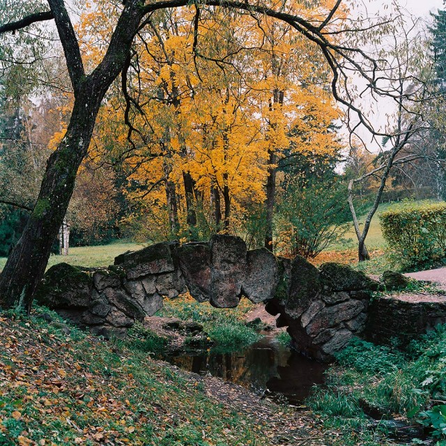 Чёрно-белый Петербург