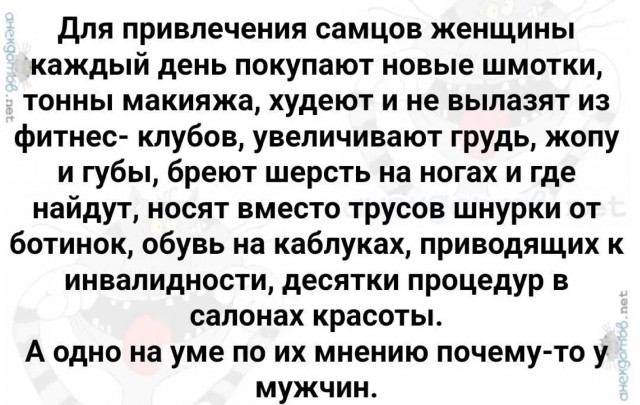 Так себе картинки 19.02.25