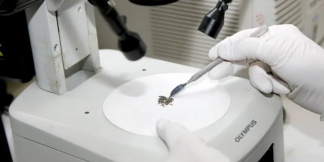 Ученые изобрели материал с необычными электронными характеристиками из трёх элементов