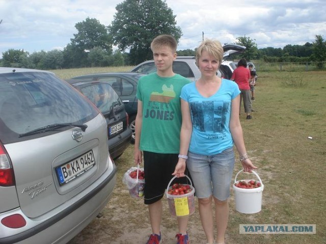 Поход за клубникой