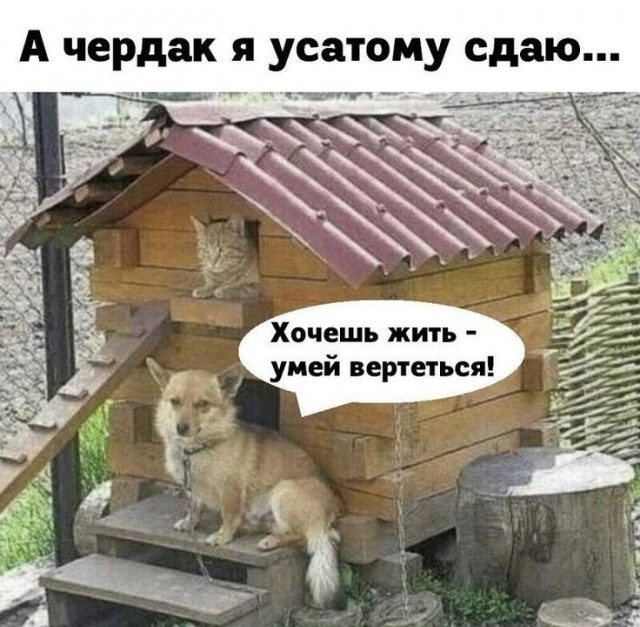 С понедельником …