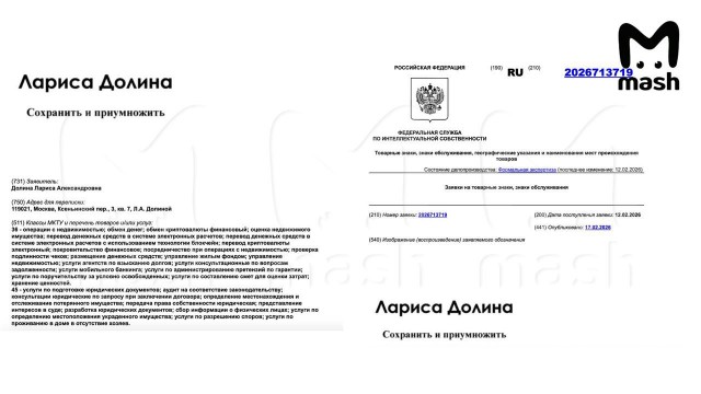 Лариса Долина подала заявку на регистрацию товарного знака в сфере недвижимости в Роспатент