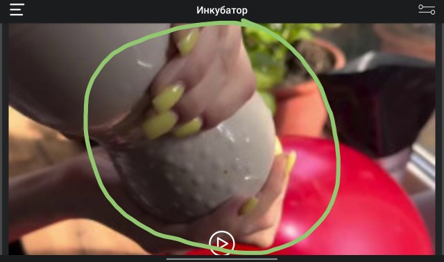 Декор: яйцо из гипса