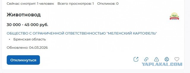 Эксперт Лебединская: средняя зарплата в 2025 году превысила 100 тыс. рублей