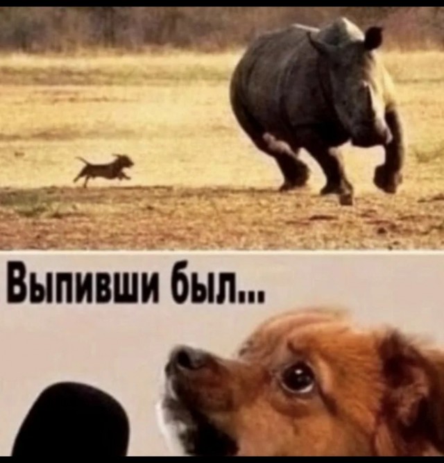 Этих мелких вообще в клетках надо по городу возить