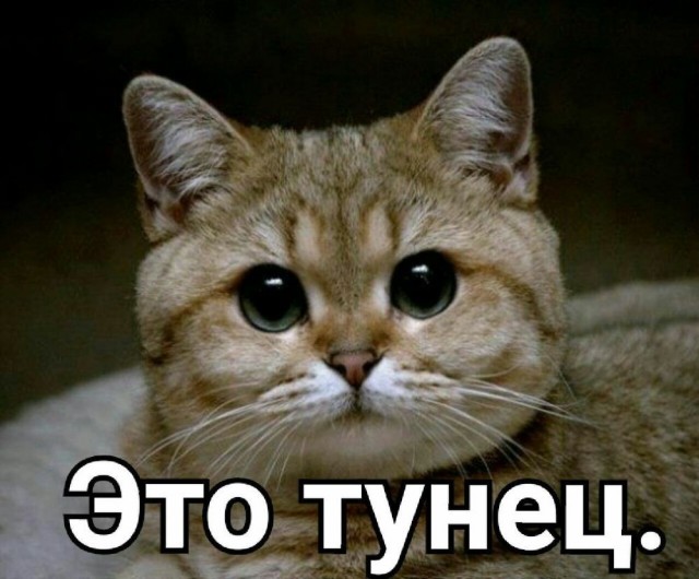 Что-то случилось