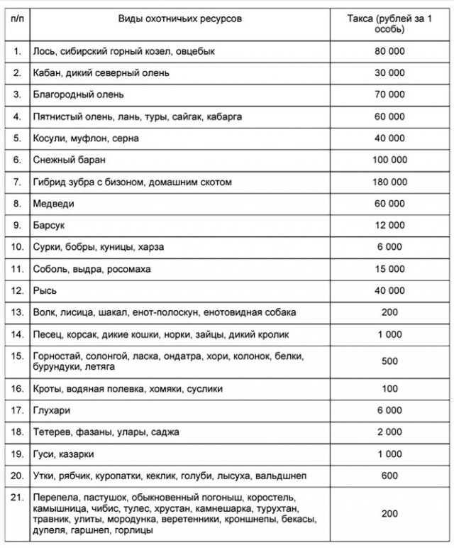 Штраф за сбитого голубя