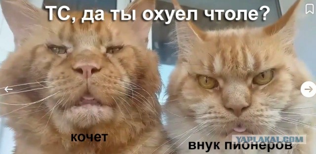 Почему мы не выбираем "Красивых и Успешных"?