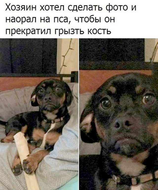 Так себе картинки 25.10.26