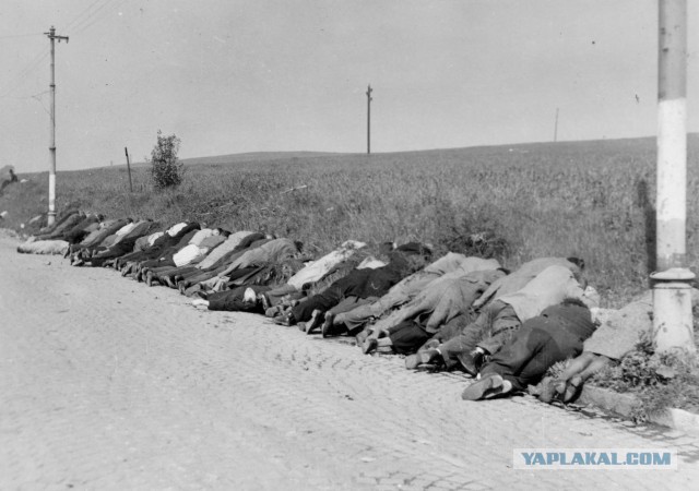 Как чехи немцам мстили. 1945 год