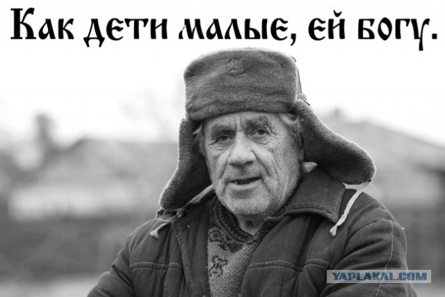 Выживальщики 80 lvl