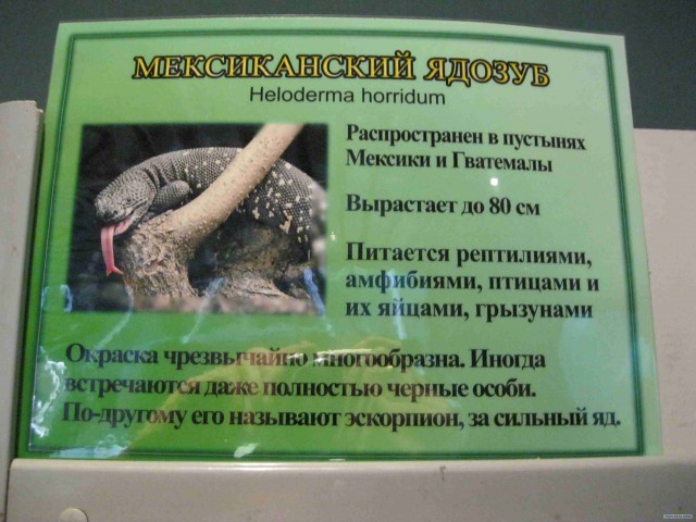 Поход за хорошим настроением