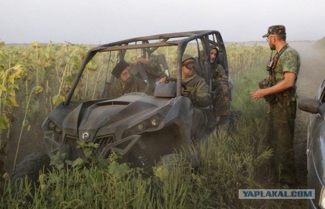 Ополчение двинулось в атаку на Мариуполь.