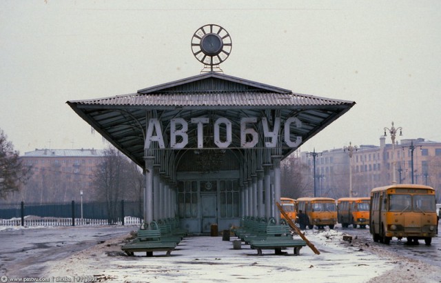 1984 год в цвете