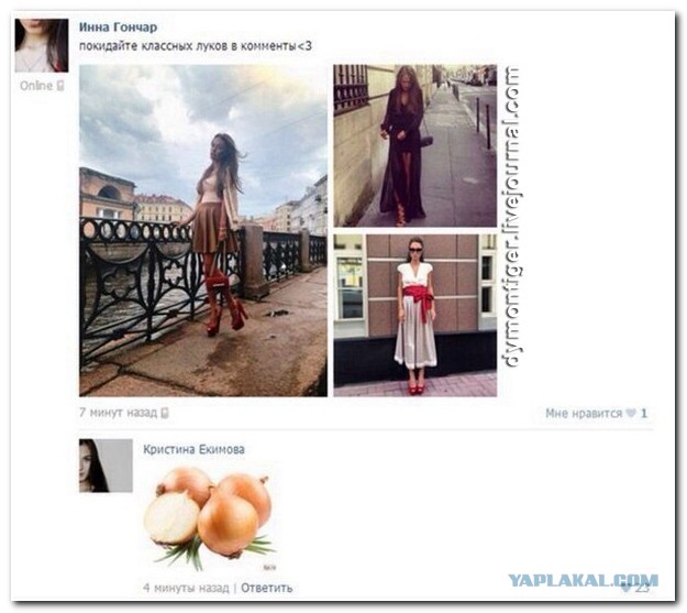 Смешные комментарии из социальных сетей 19.11.14