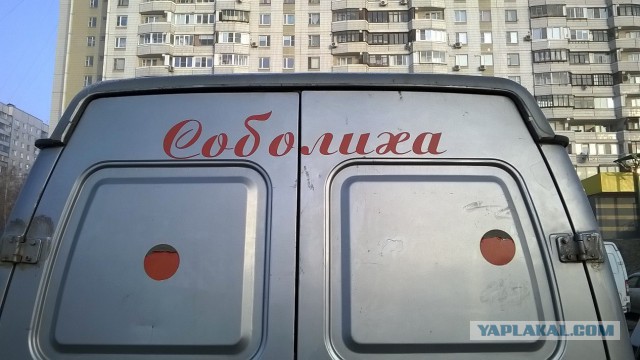 Надписи на авто