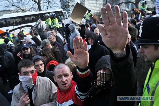 Делимся способами противодействия нападению стаи