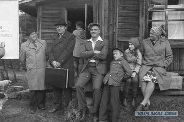 Легендарному фильму «Любовь и голуби» - 30 лет