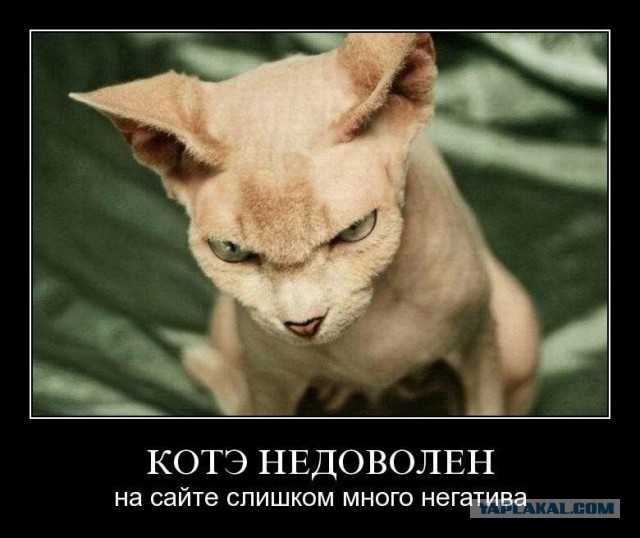 Картинки 12.05.2015