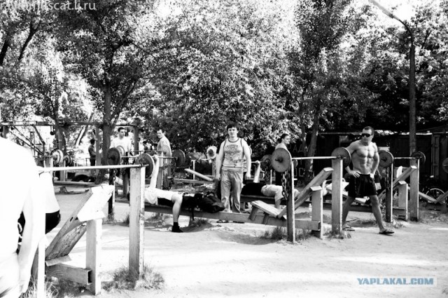 Качки из киева завоевывают Германию