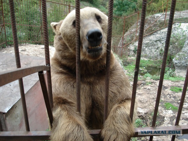 А вы бывали на Кавказе?