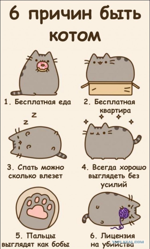 Разные картинки